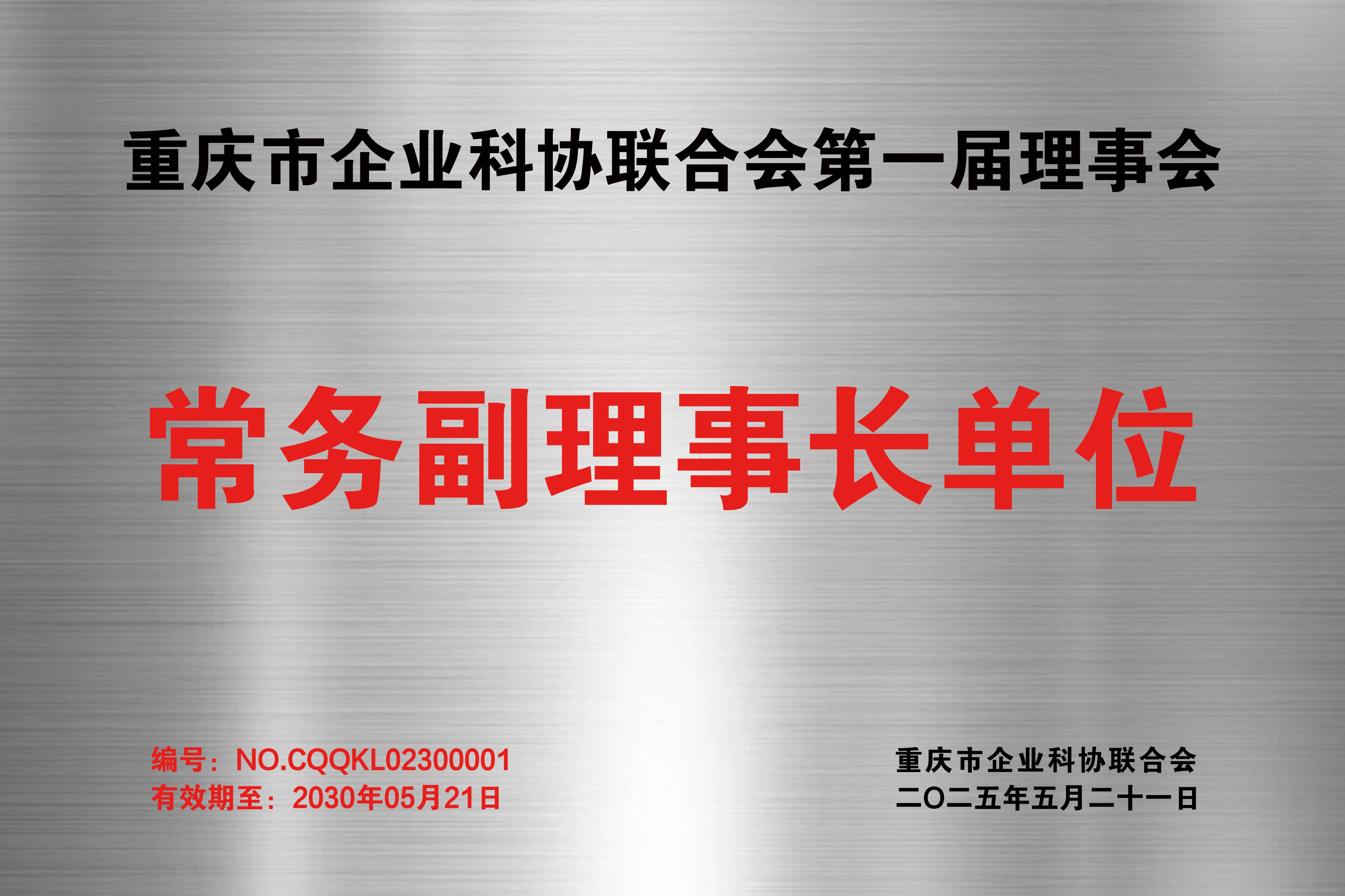 重庆市企业科协联合会第一届理事会常务理事长单位.jpg